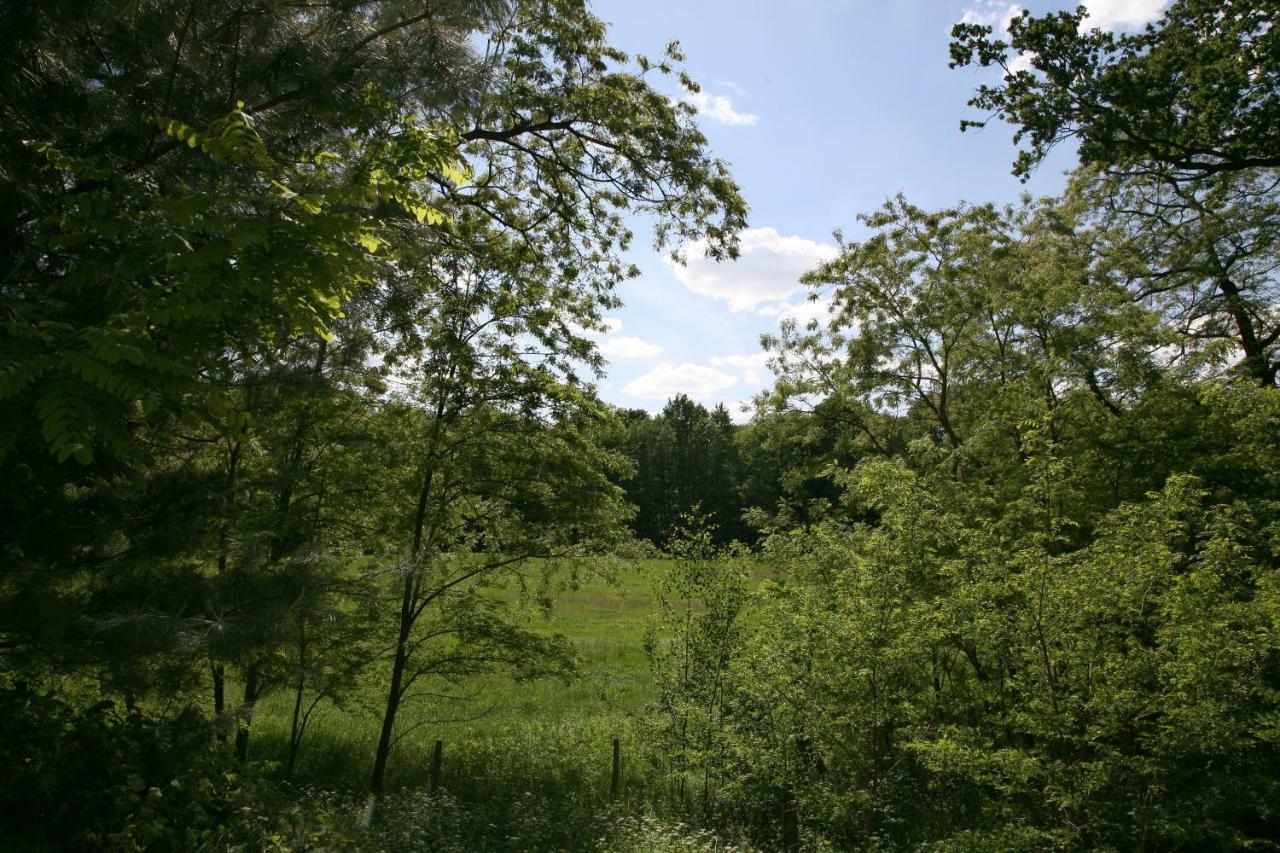 Landpension Germania Neuhausen  ภายนอก รูปภาพ